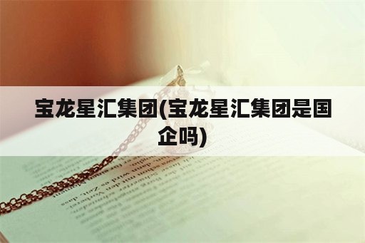 宝龙星汇集团(宝龙星汇集团是国企吗)