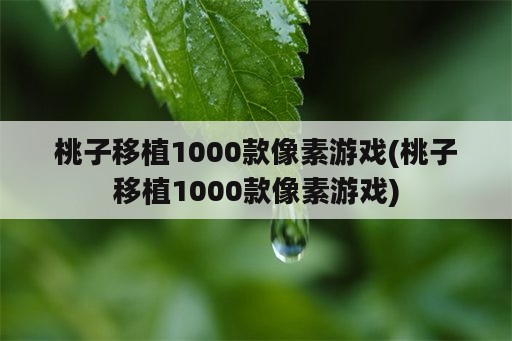 桃子移植1000款像素游戏(桃子移植1000款像素游戏)