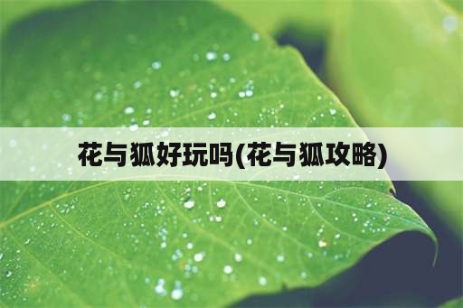 花与狐好玩吗(花与狐攻略)