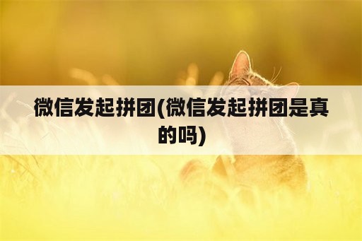 微信发起拼团(微信发起拼团是真的吗)