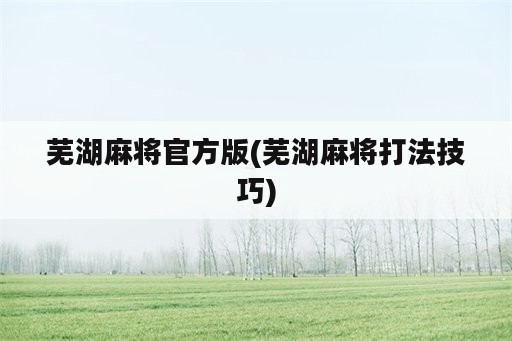 芜湖麻将官方版(芜湖麻将打法技巧)