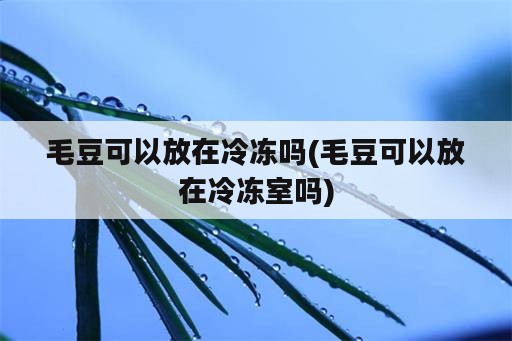 毛豆可以放在冷冻吗(毛豆可以放在冷冻室吗)