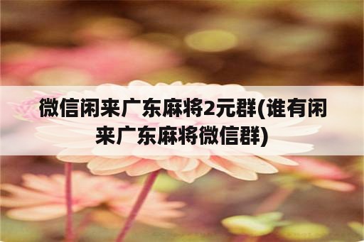 微信闲来广东麻将2元群(谁有闲来广东麻将微信群)