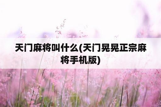 天门麻将叫什么(天门晃晃正宗麻将手机版)