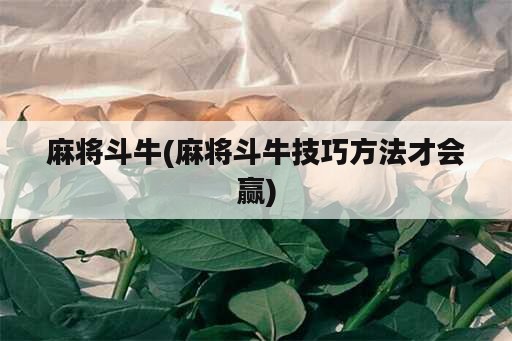 麻将斗牛(麻将斗牛技巧方法才会赢)