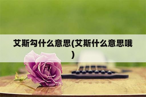 艾斯勾什么意思(艾斯什么意思哦)