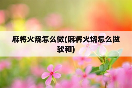 麻将火烧怎么做(麻将火烧怎么做软和)