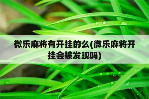 微乐麻将有开挂的么(微乐麻将开挂会被发现吗)