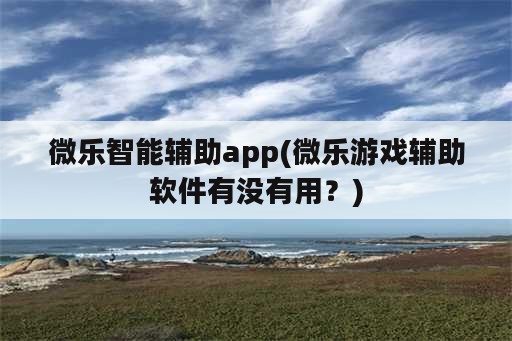 微乐智能辅助app(微乐游戏辅助软件有没有用？)