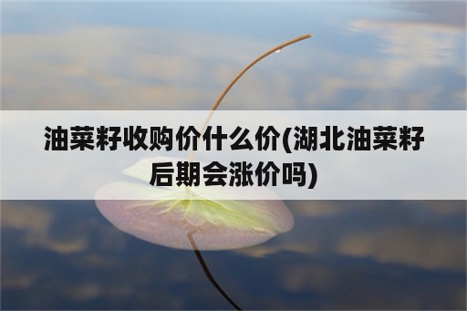 油菜籽收购价什么价(湖北油菜籽后期会涨价吗)