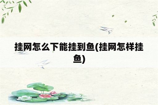 挂网怎么下能挂到鱼(挂网怎样挂鱼)