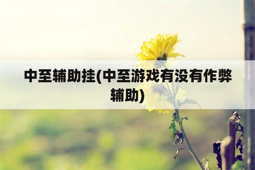 中至辅助挂(中至游戏有没有作弊辅助)