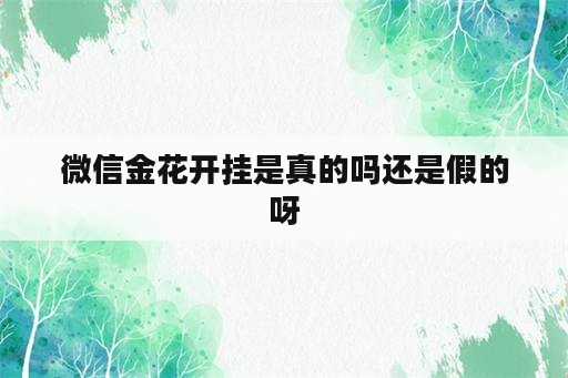 微信金花开挂是真的吗还是假的呀