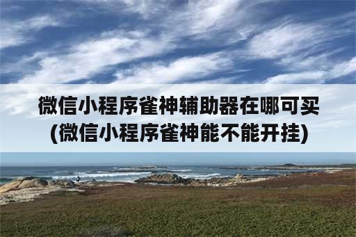 微信小程序雀神<strong>辅助</strong>器在哪可买(微信小程序雀神能不能开挂)