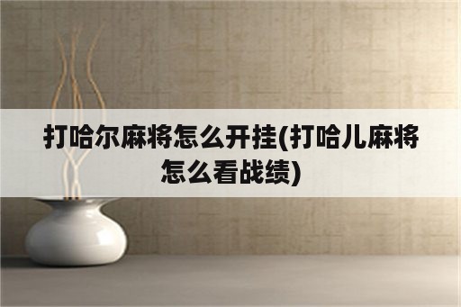 打哈尔麻将怎么开挂(打哈儿麻将怎么看战绩)