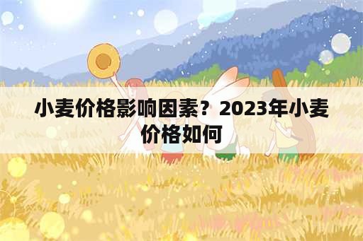 小麦价格影响因素？2023年小麦价格如何