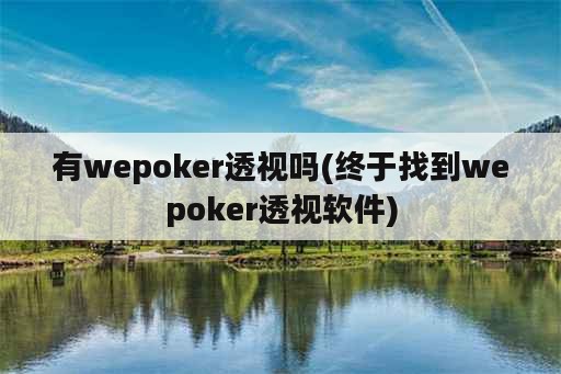 有wepoker透视吗(终于找到wepoker透视软件)