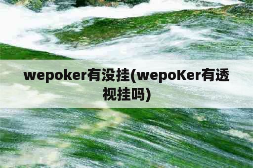 wepoker有没挂(wepoKer有透视挂吗)