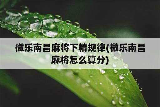 微乐南昌麻将下精规律(微乐南昌麻将怎么算分)