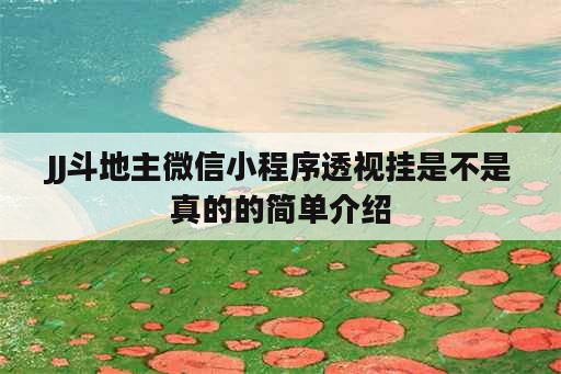 JJ斗地主微信小程序透视挂是不是真的的简单介绍