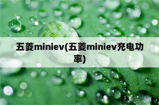 五菱miniev(五菱miniev充电功率)