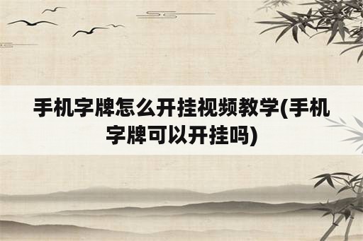 手机字牌怎么开挂视频教学(手机字牌可以开挂吗)