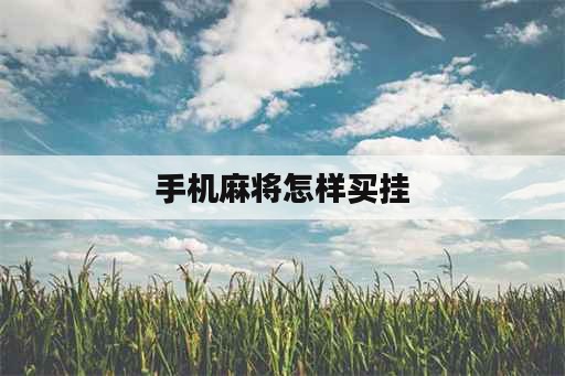 手机麻将怎样买挂