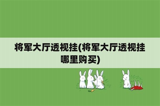 将军大厅透视挂(将军大厅透视挂哪里购买)