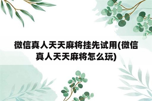 微信真人天天麻将挂先试用(微信真人天天麻将怎么玩)