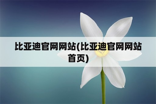 比亚迪官网网站(比亚迪官网网站首页)