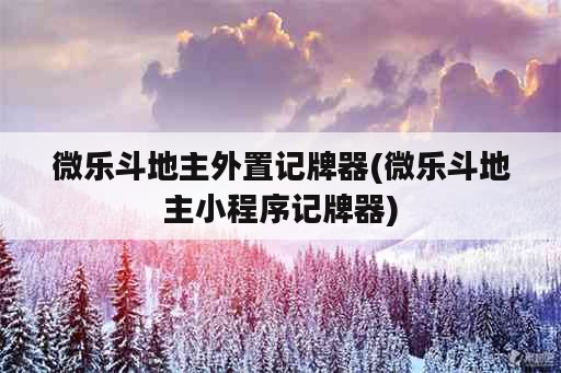 微乐斗地主外置记牌器(微乐斗地主小程序记牌器)