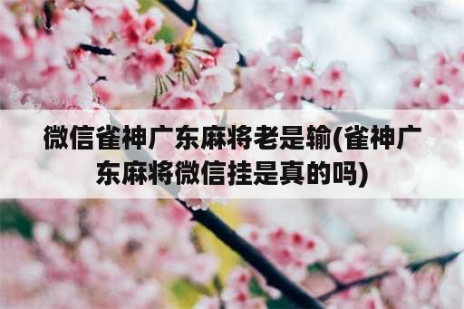 微信雀神广东麻将老是输(雀神广东麻将微信挂是真的吗)