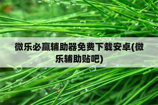 微乐必赢辅助器免费下载安卓(微乐辅助贴吧)