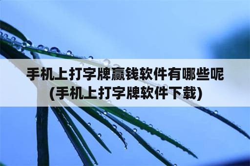 手机上打字牌赢钱软件有哪些呢(手机上打字牌软件下载)