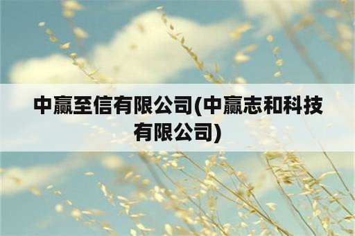 中赢至信有限公司(中赢志和科技有限公司)