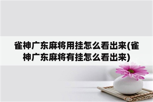 雀神广东麻将用挂怎么看出来(雀神广东麻将<strong>有挂</strong>怎么看出来)