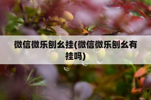 微信微乐刨幺挂(微信微乐刨幺有挂吗)