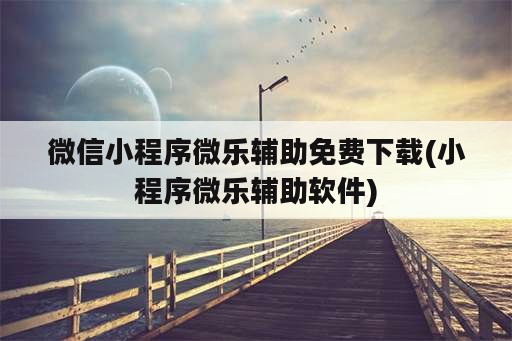 微信小程序微乐辅助免费下载(小程序微乐辅助软件)