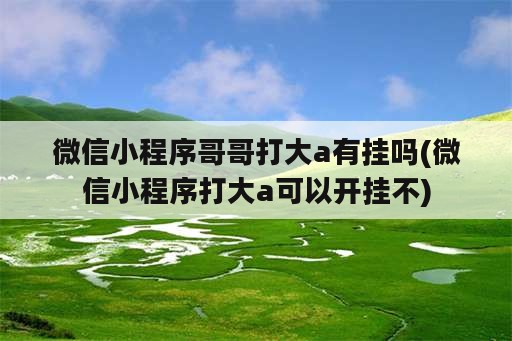 微信小程序哥哥打大a有挂吗(微信小程序打大a可以开挂不)