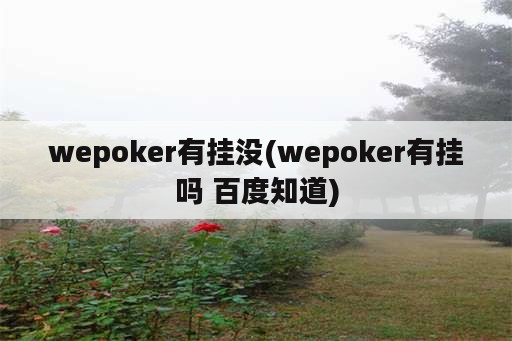 wepoker有挂没(wepoker有挂吗 百度知道)