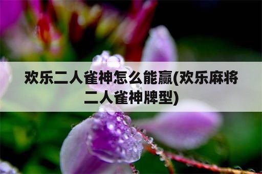 欢乐二人雀神怎么能赢(欢乐麻将二人雀神牌型)